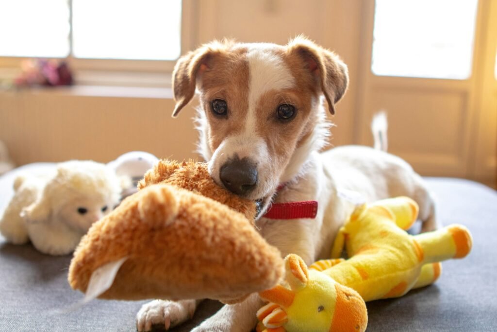 indestructible dog toy